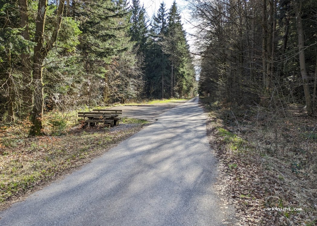 (93) Paintner Forst - St2233 — foto