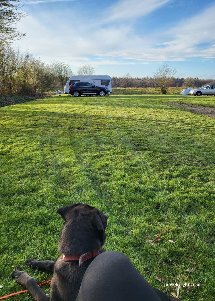 De Goede Weide Recreatie — foto
