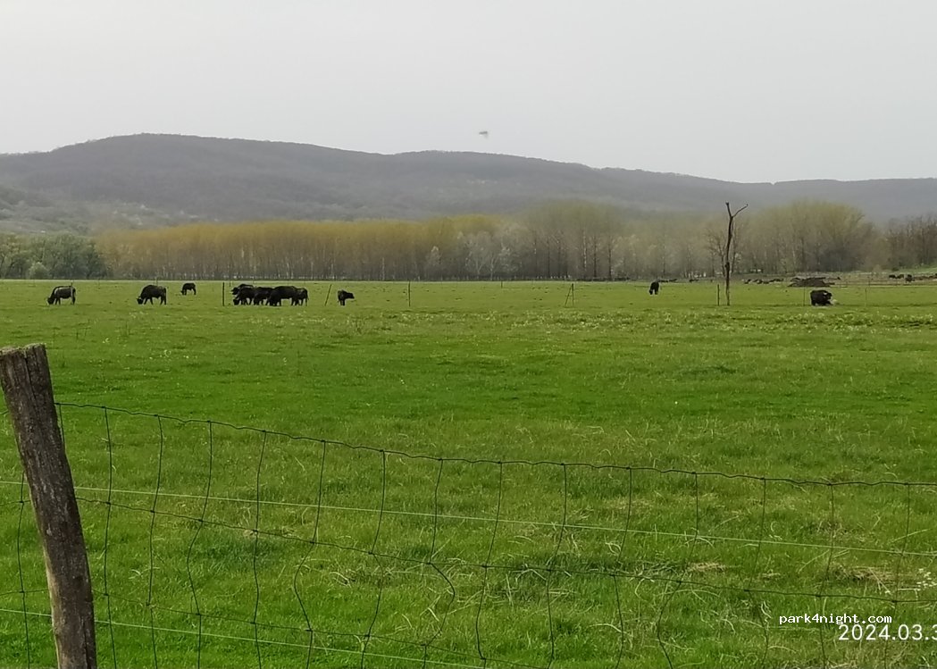 (2631) Ipolydamásd - Unnamed Road — foto