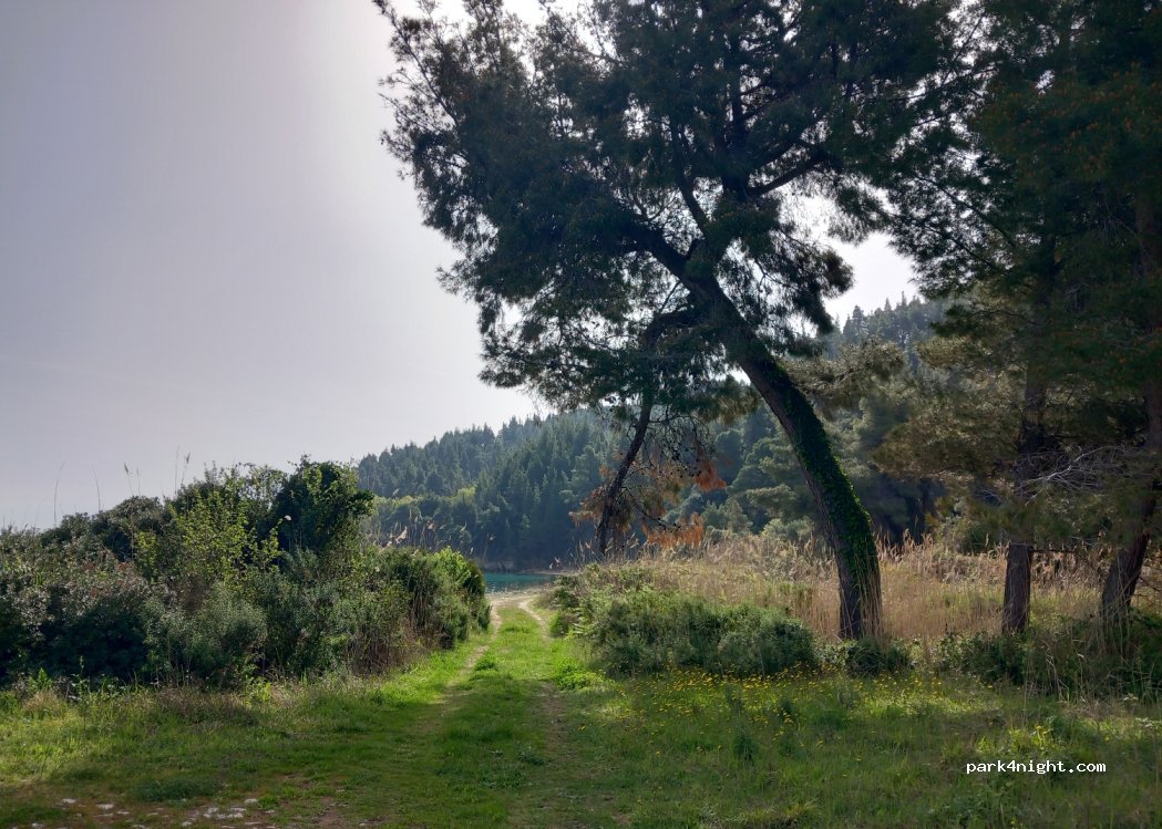 (630 78) Sithonia - — foto 3