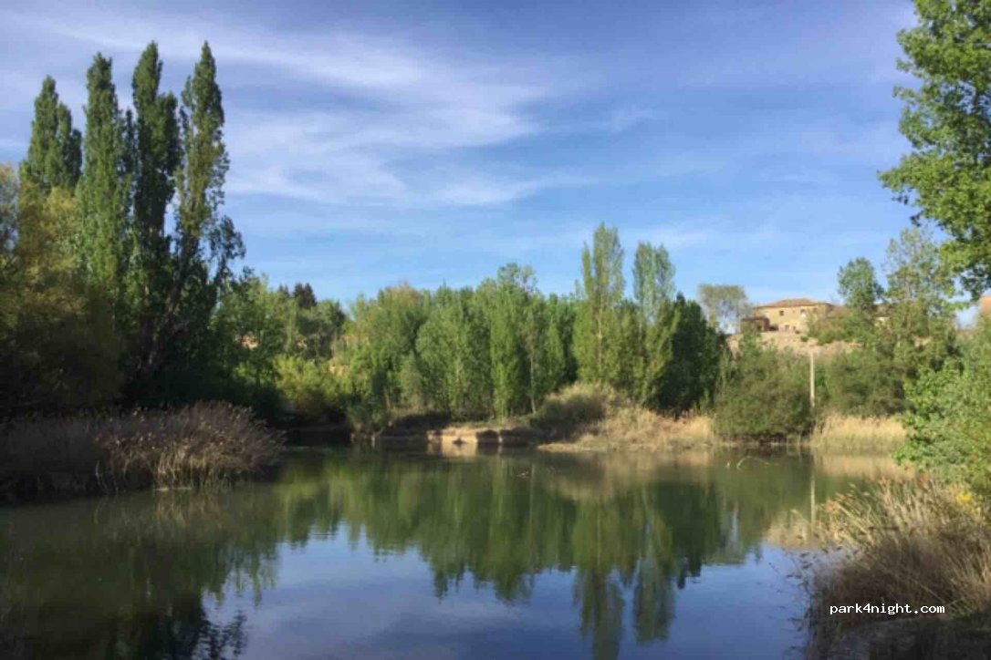 (34411) Ribas de Campos - P-984 — foto 3