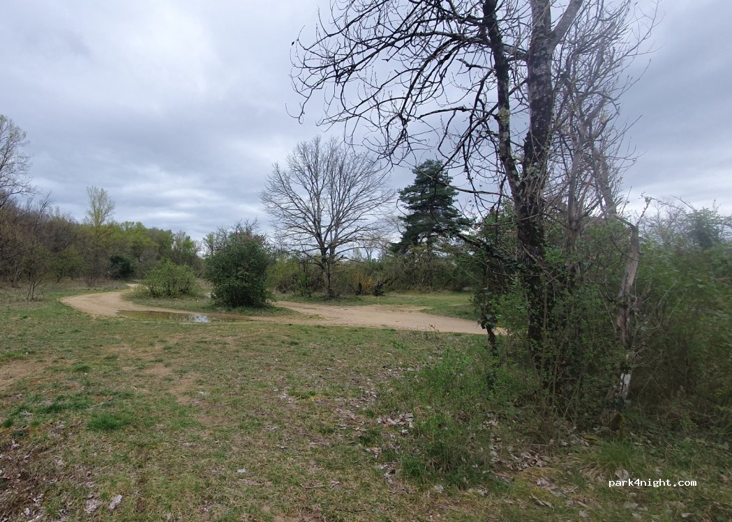 (01800) Saint-Jean-de-Niost - — foto