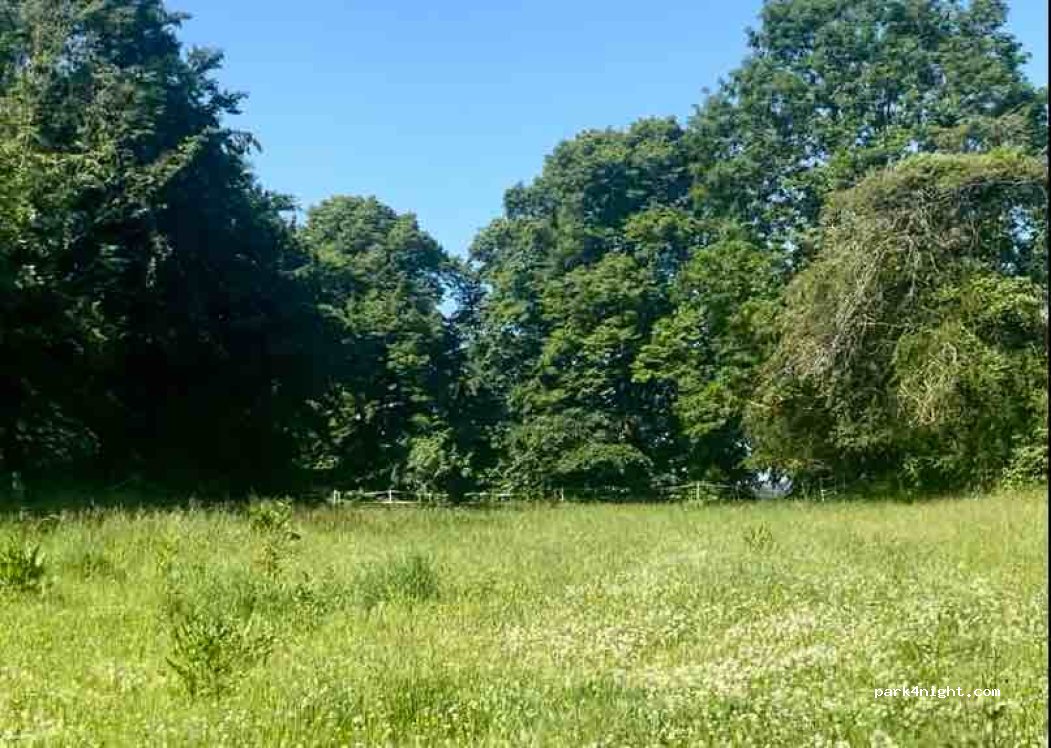 (23974) Blowatz - 26 Friedrichsdorf — foto 2