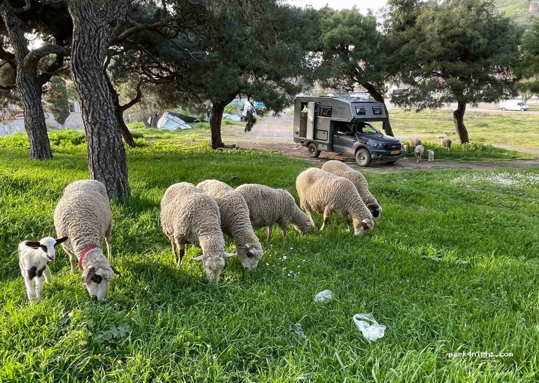 (35700) Bergama - 5 Üçkemer Caddesi — foto