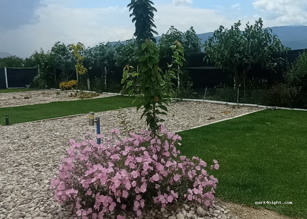 Sunny Paradise Campsite — foto 2