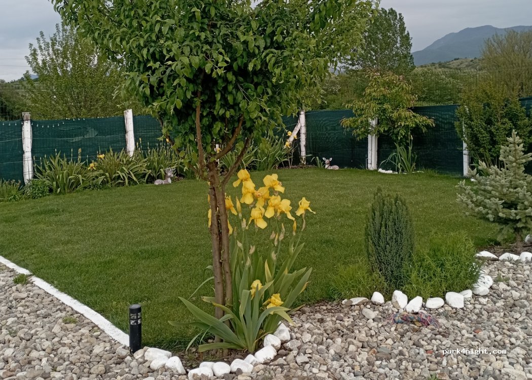 Sunny Paradise Campsite — foto 4