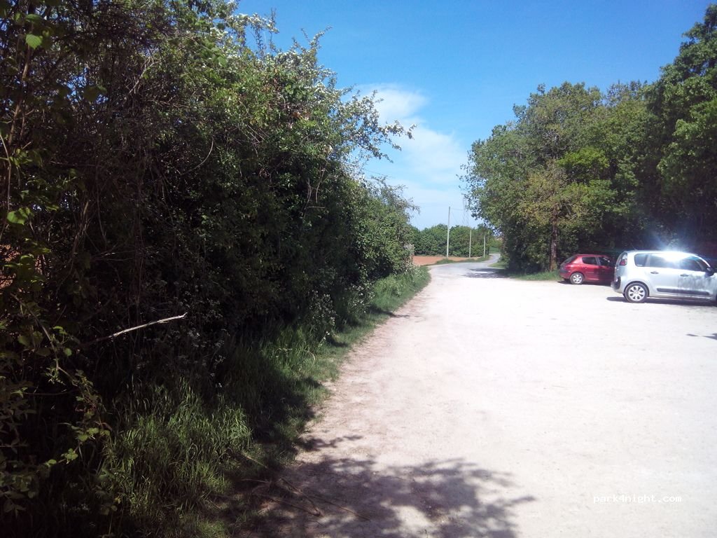 (85400) Sainte-Gemme-la-Plaine - Forêt de Sainte-Gemme — foto 2