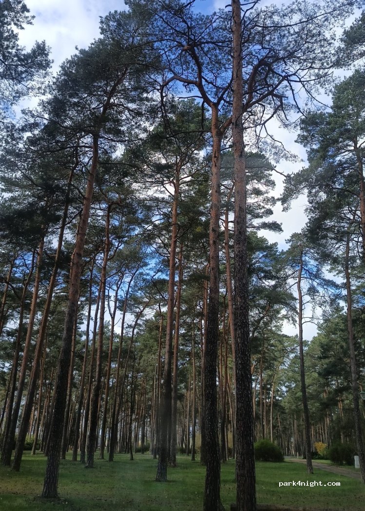 HELENESEE - Die kleine Ostsee — foto 2