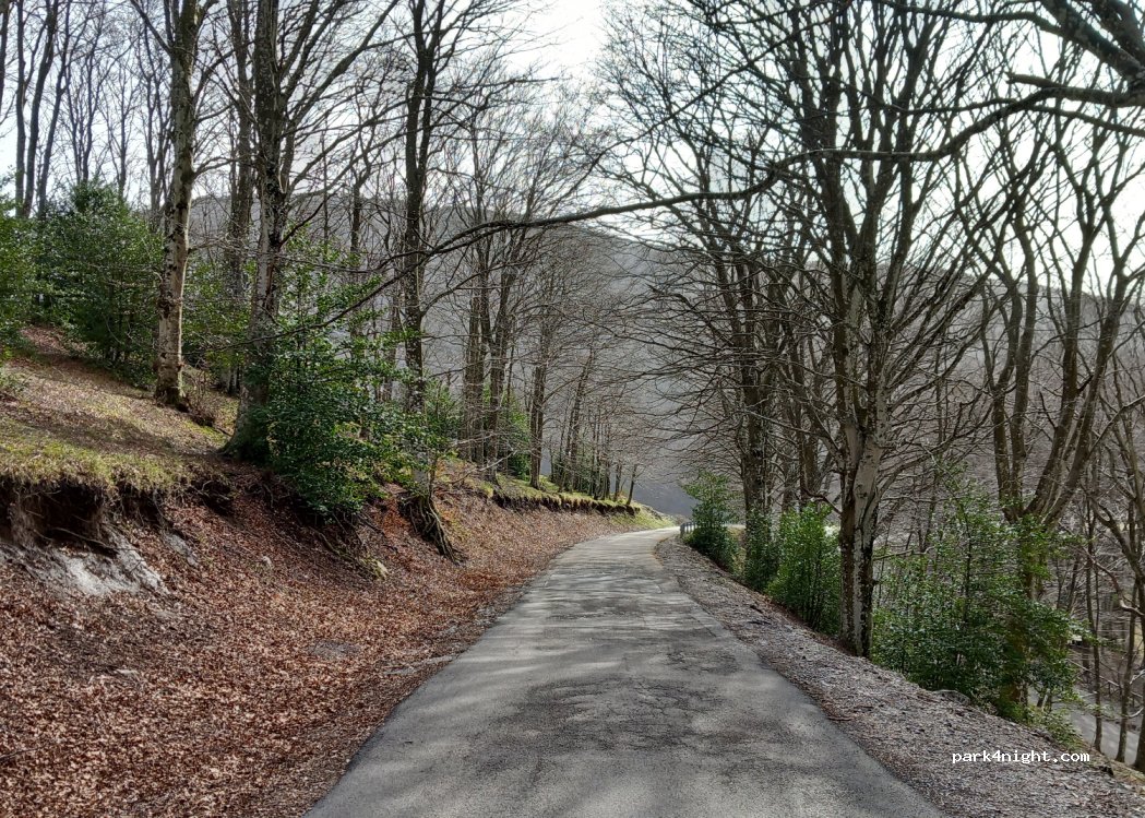 (82038) Vitulano - Unnamed Road — foto