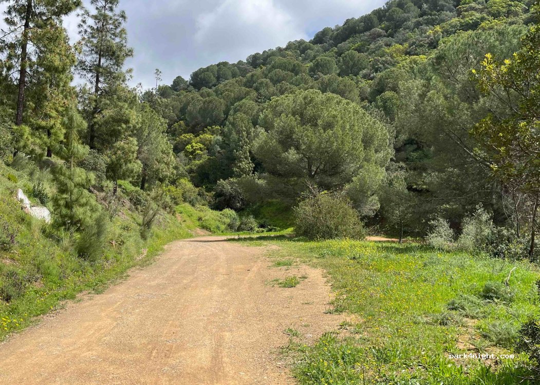 (14011) Santa María de Trassierra - Unnamed Road — foto 3