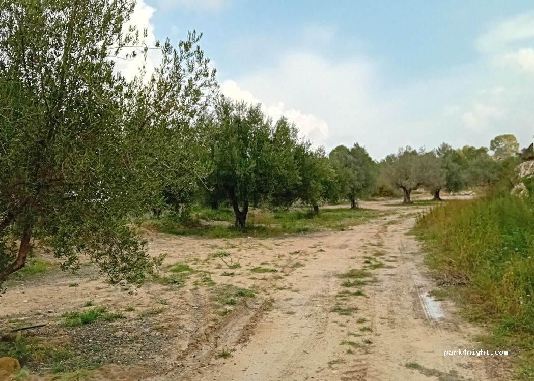 (46869) Carrícola - 1 Camino Hondo — foto 4