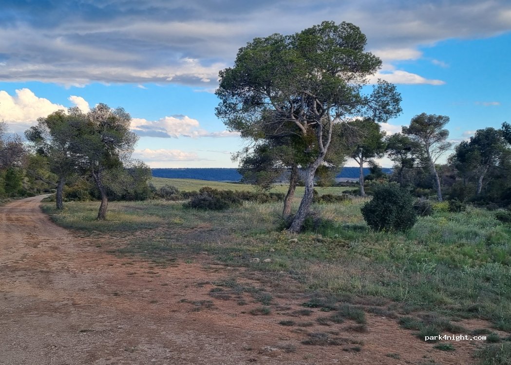 (50617) Zaragoza - Unnamed Road — foto 2
