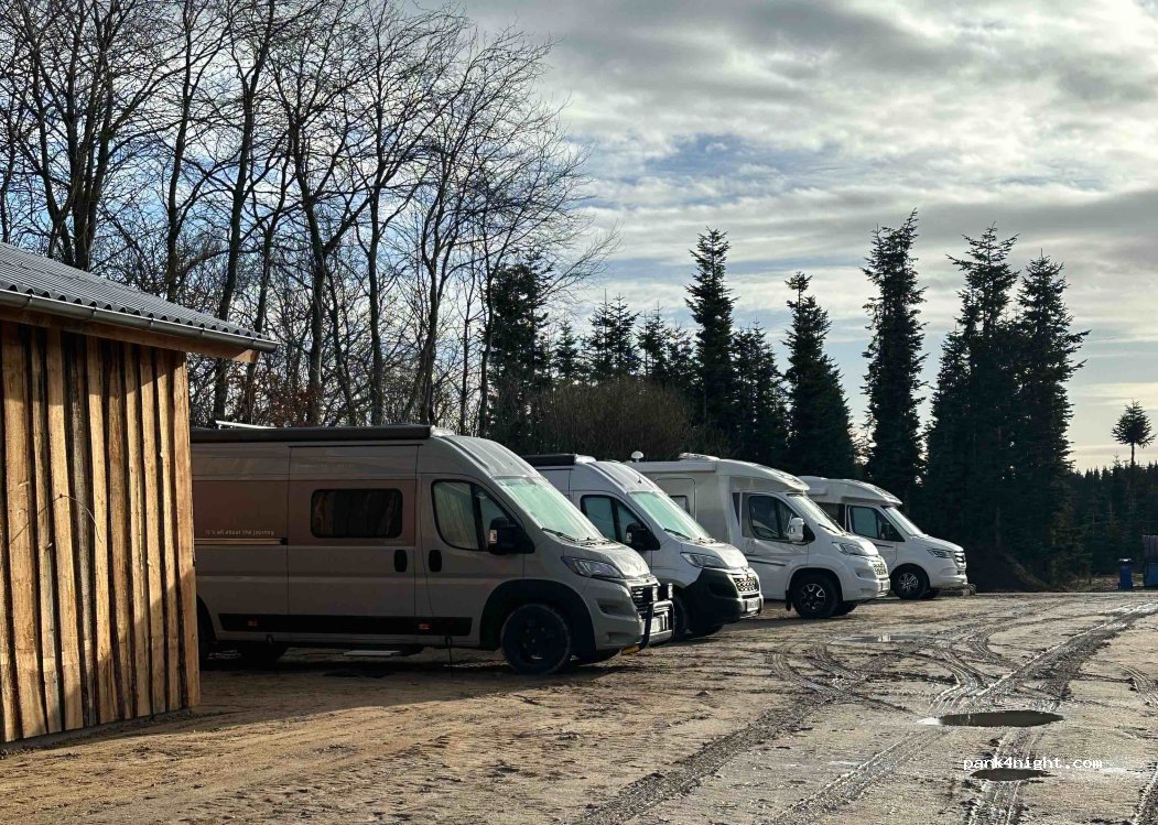 (8600) Silkeborg - 3 Tollundvej — foto