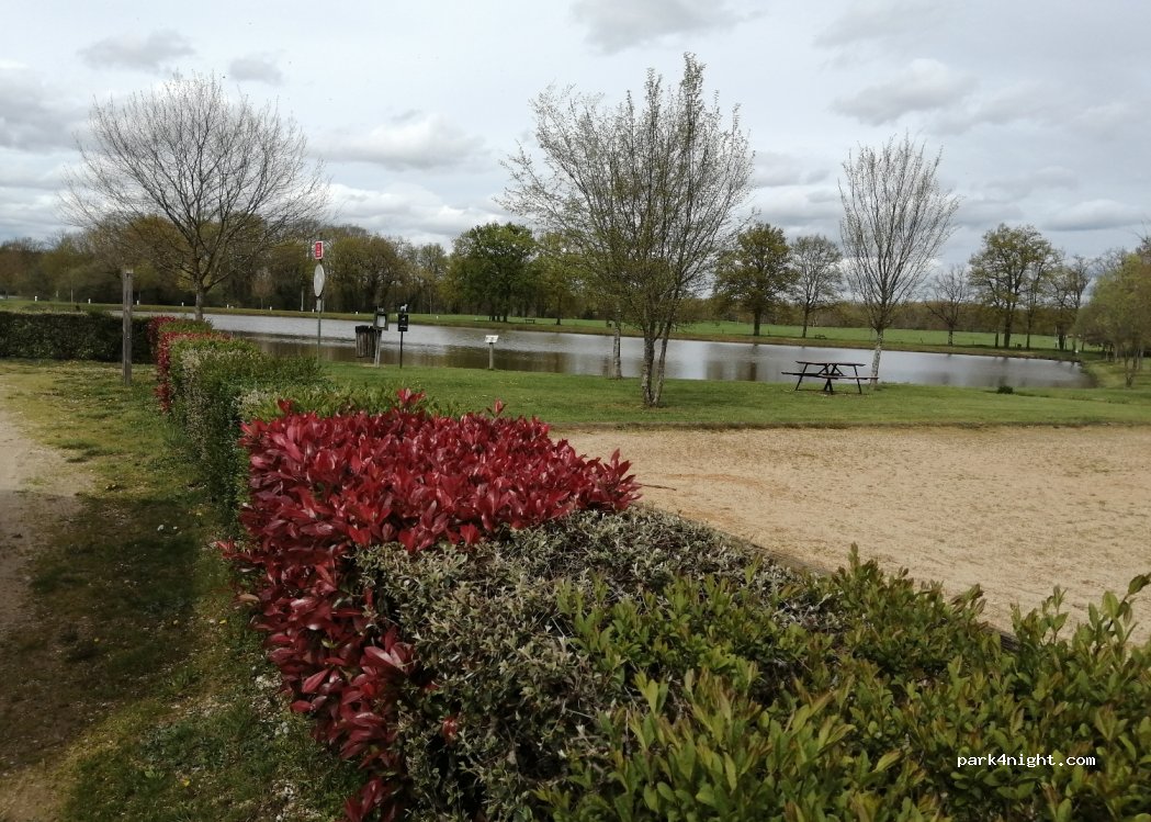 (41200) Loreux - 550 Route de Selles Saint-Denis — foto 3
