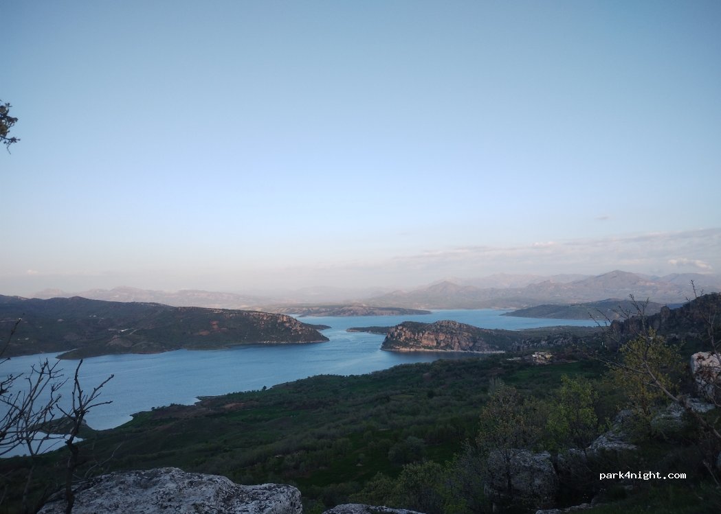 (21830) Yeşilsırt - — foto