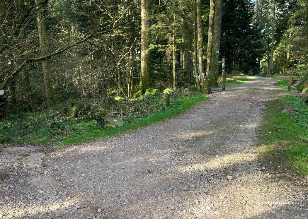 (88400) Xonrupt-Longemer - Chemin Holwek — foto