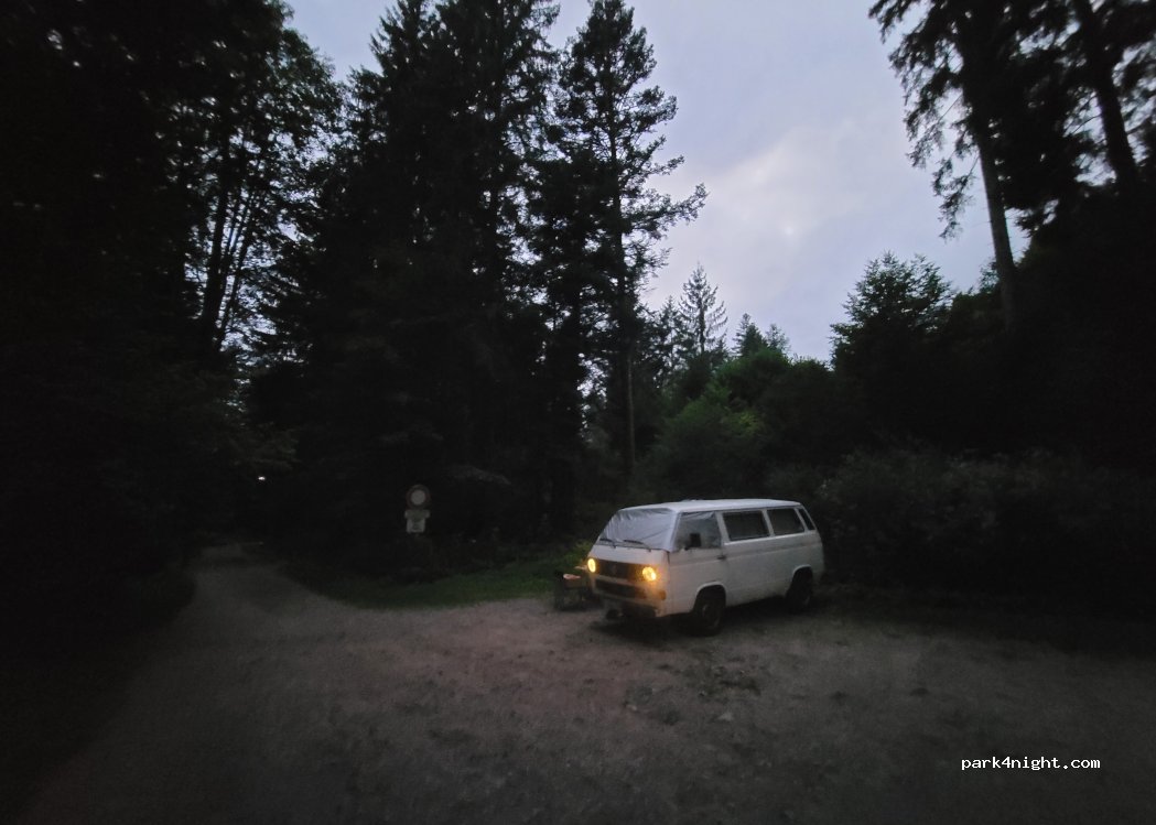 (88400) Xonrupt-Longemer - Chemin Holwek — foto 4