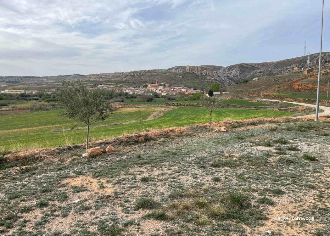 (44213) Huesa del Común - 302P Diseminado Diseminados — foto