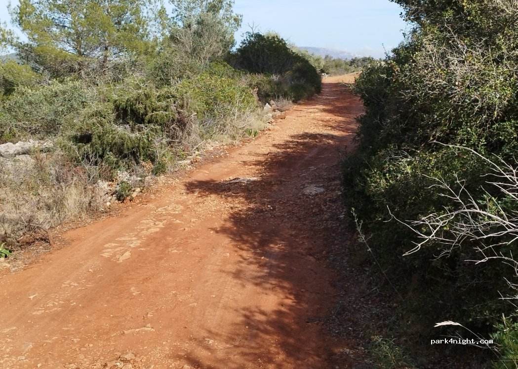 (03729) Senija - 5 Camino Basetes — foto 3