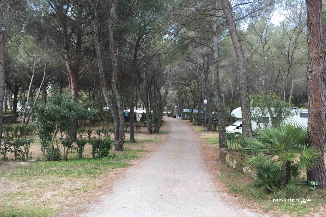 Camping Resort and Spa La Baume la Palmeraie — foto 2