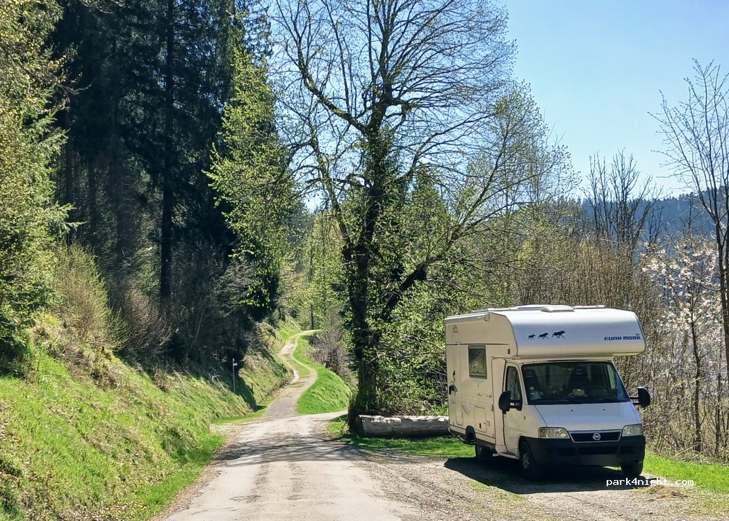 (79837) Sankt Blasien - 22 Hans-Thoma-Weg — foto 4