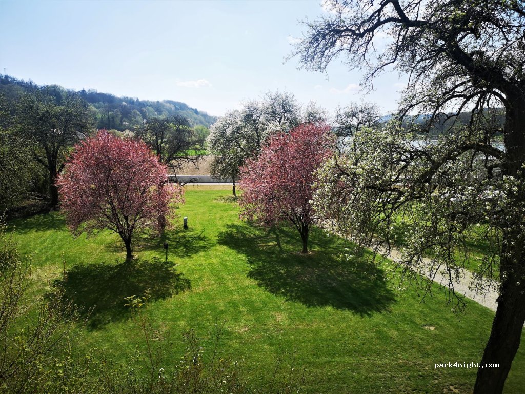 Wachau Camping Schönbühel — foto 5