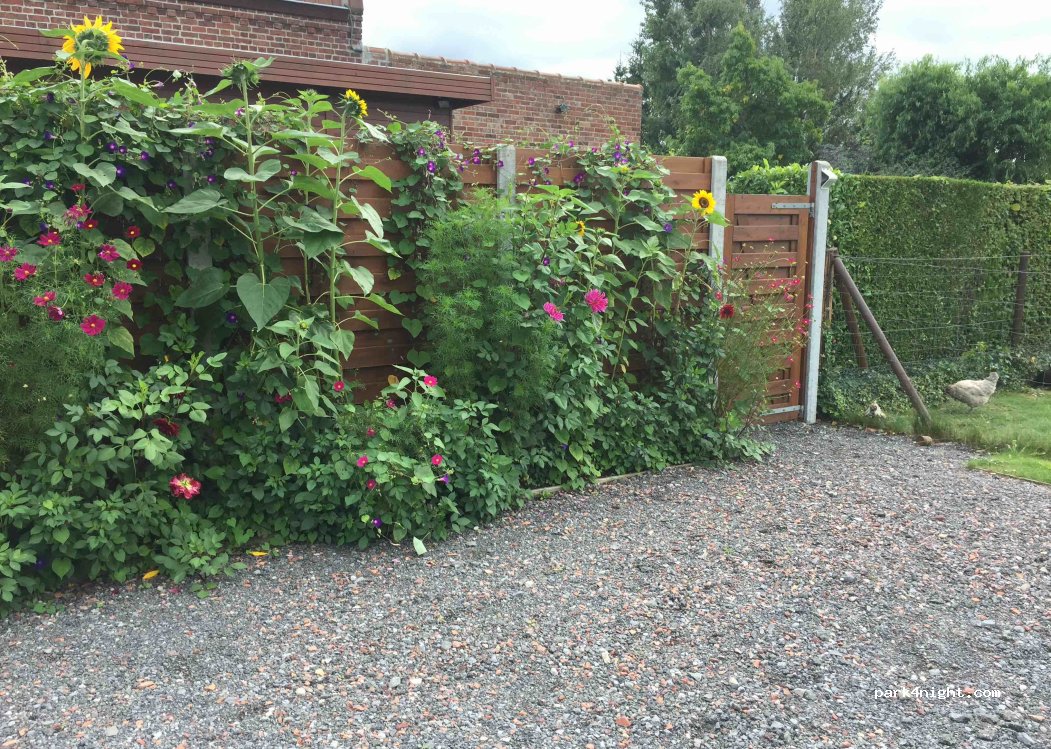 (62136) Vieille-Chapelle - 490 Rue de Loisne — foto 4