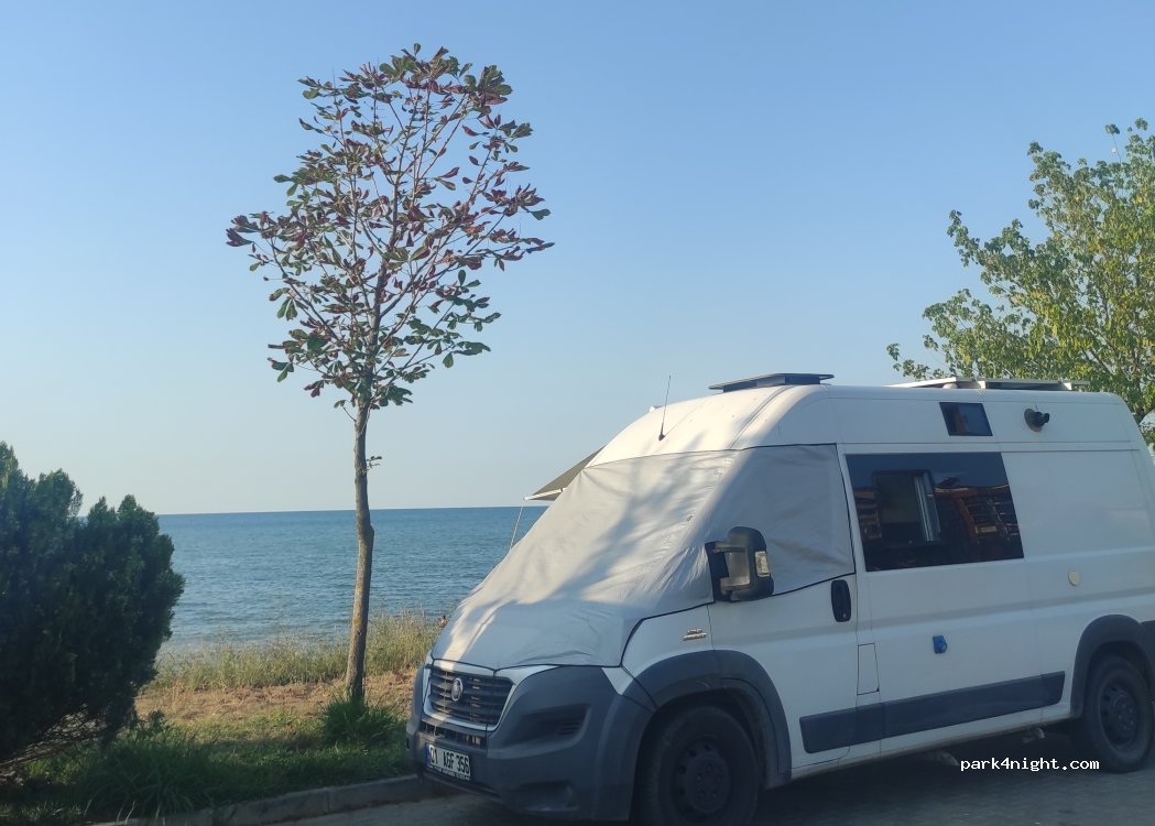(28600) Espiye - 5002 19 Mayıs Caddesi — foto 4
