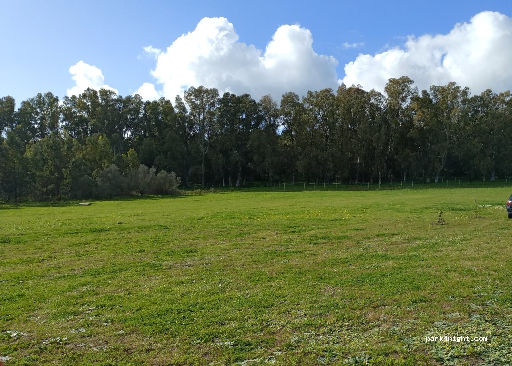 (91022) Castelvetrano - — foto