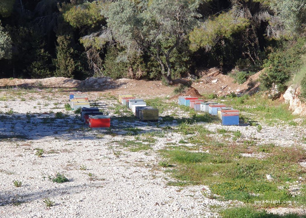 (310 82) Apollonii - Egremni Rd — foto 2