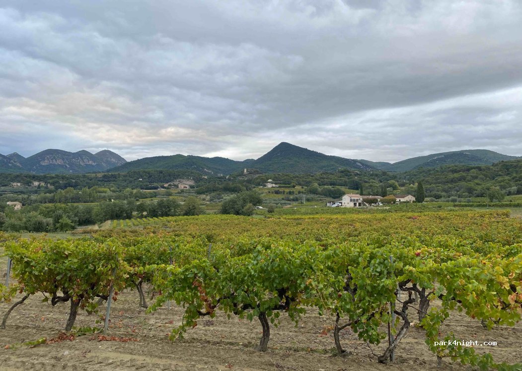 Domaine du chêne blanc — foto 4