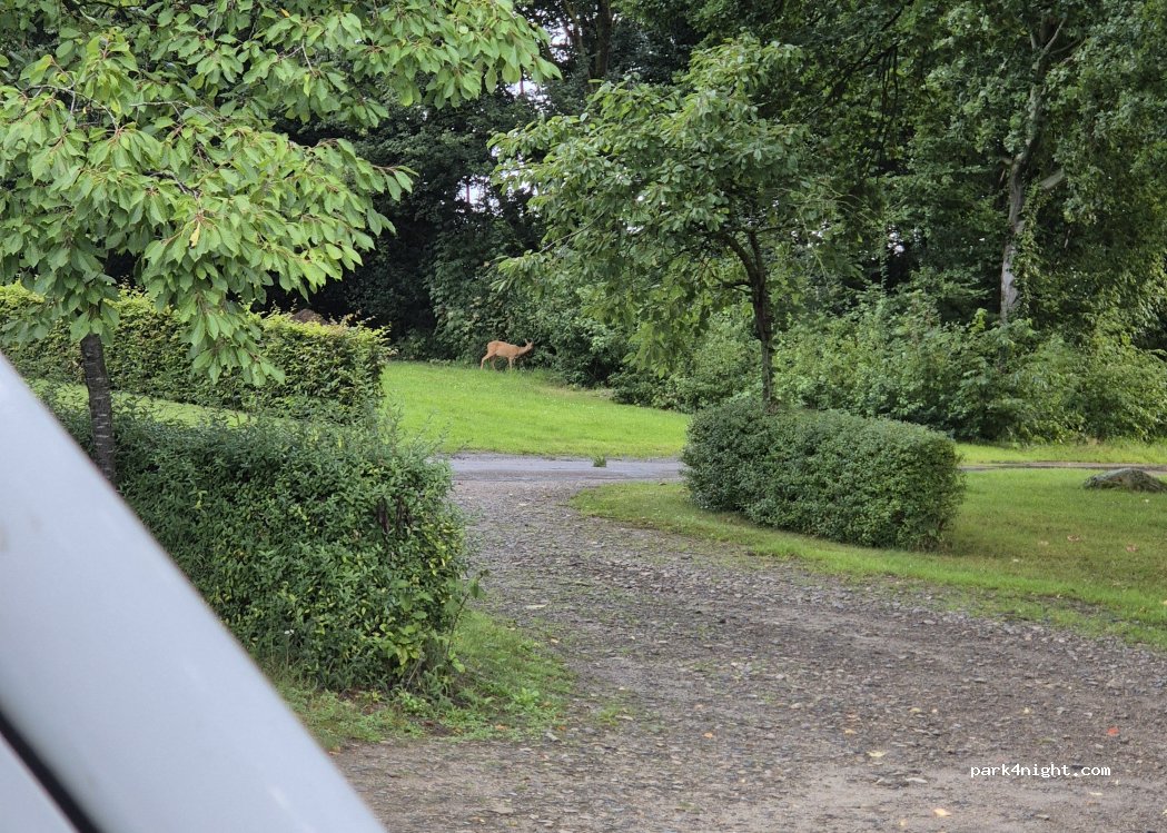 (49565) Bramsche - 2 Am Friedhof — foto 2