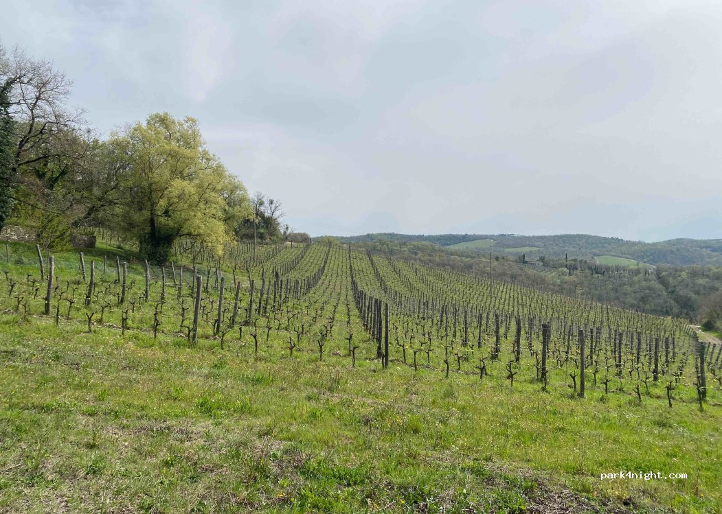 (53017) Radda in Chianti - Strada Provinciale 72 — foto 2