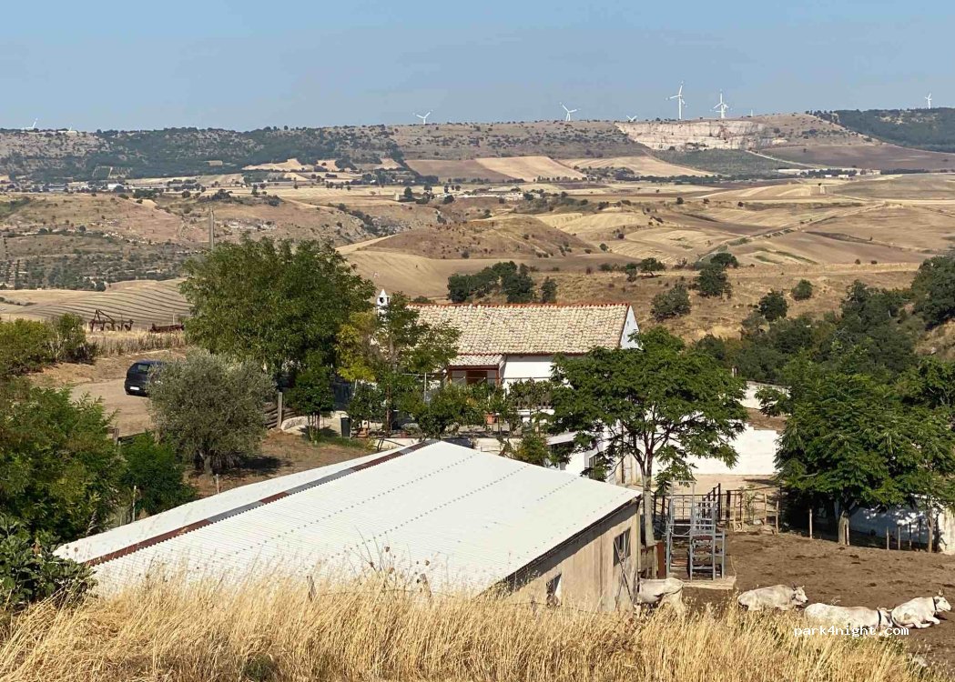 Azienda Zootecnica Caivano — foto 4