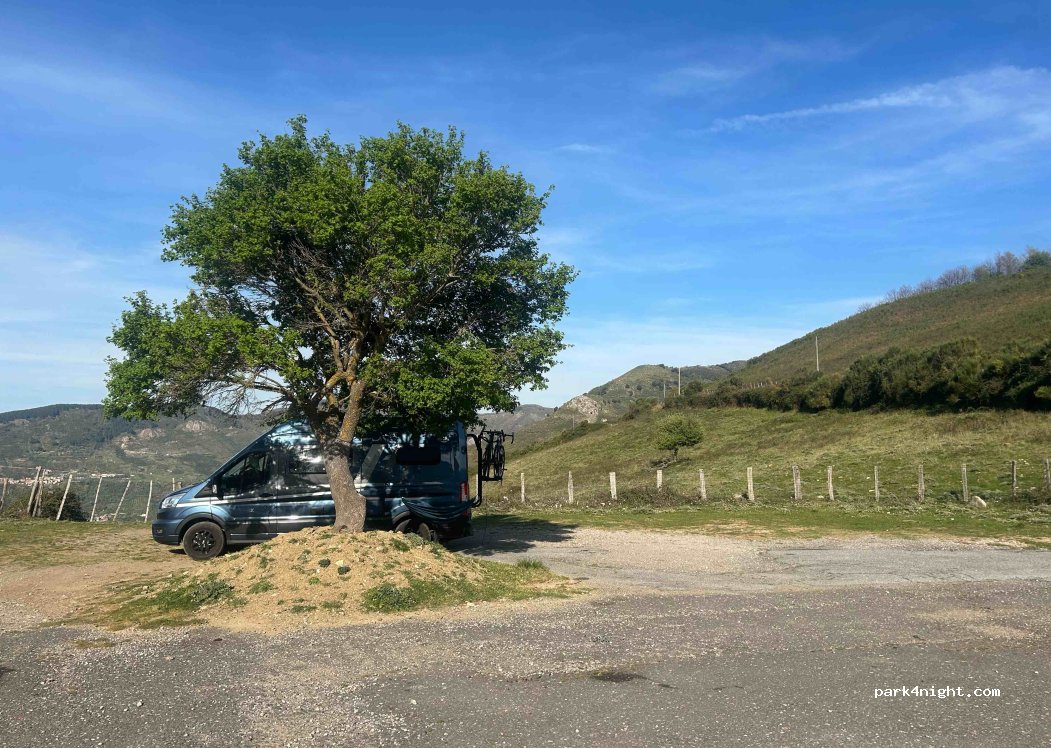 (98070) Longi - — foto