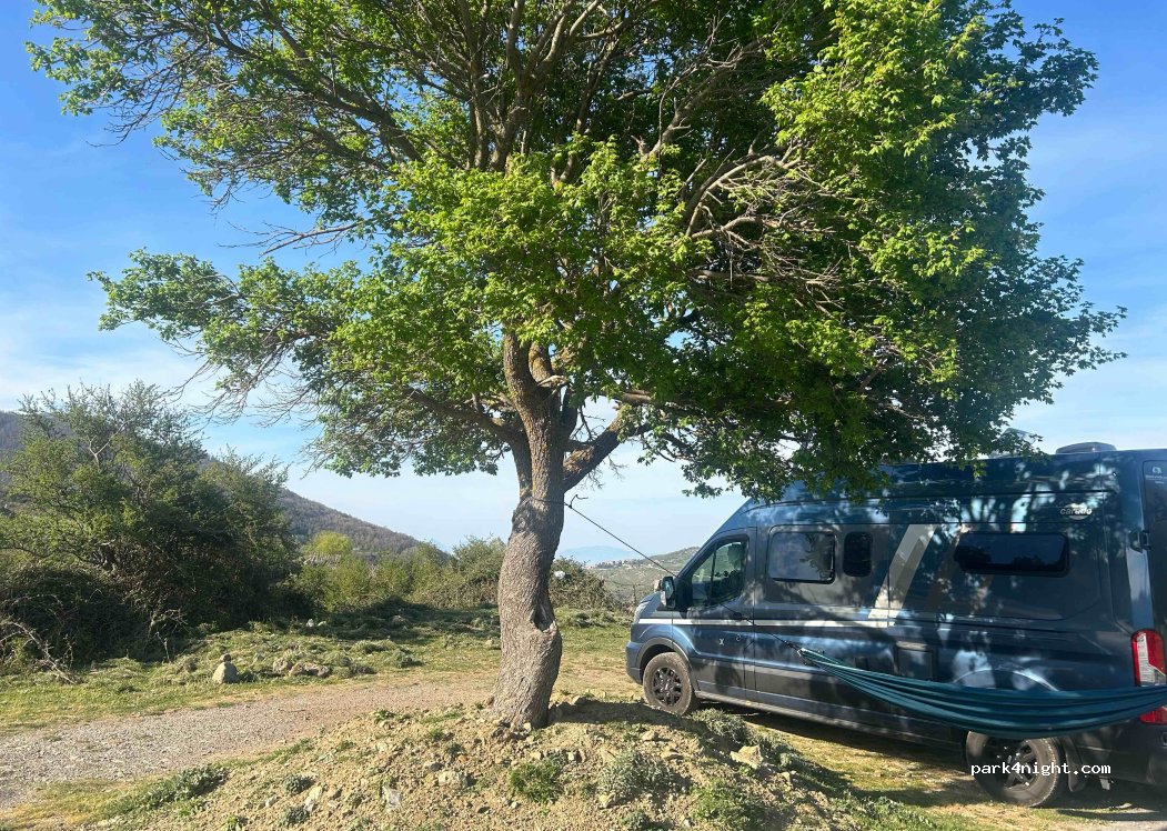 (98070) Longi - — foto 2