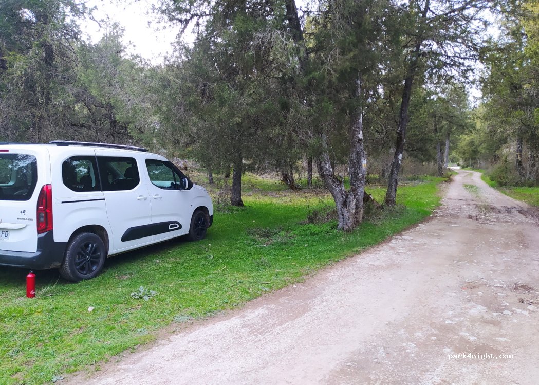 (42146) Cabrejas del Pinar - — foto