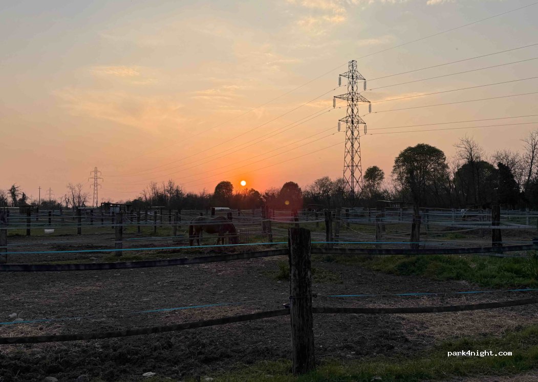 Wild Horses Ranch ASD — foto 4