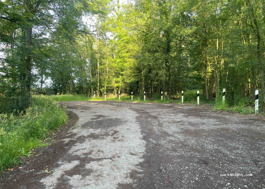 (97950) Großrinderfeld - — foto