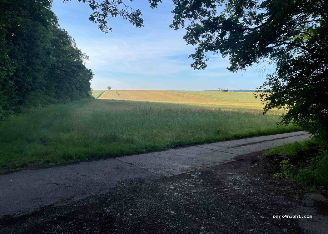 (97950) Großrinderfeld - — foto 3