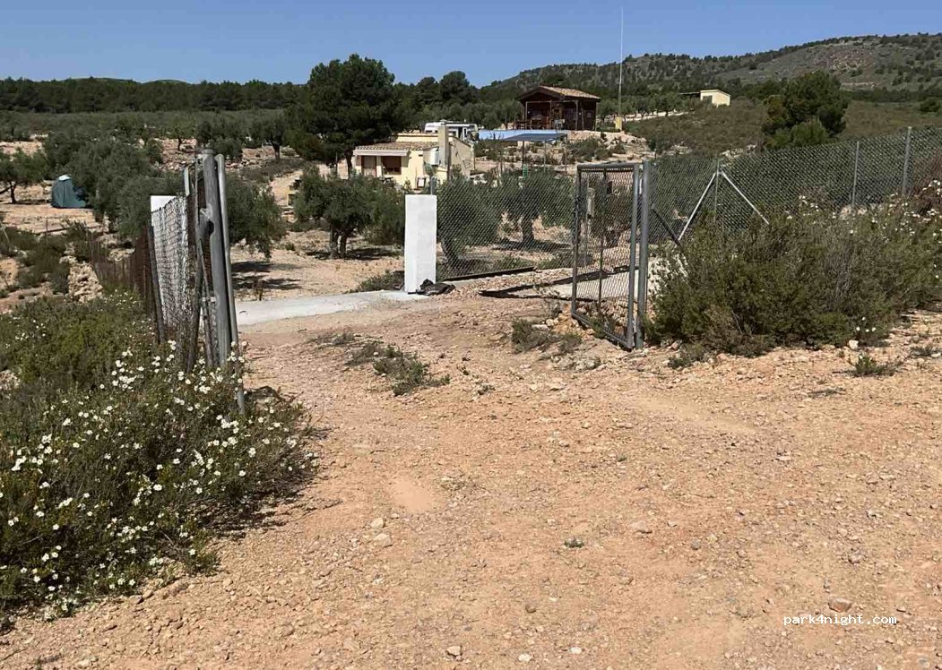 (03469) Campo de Mirra - — foto