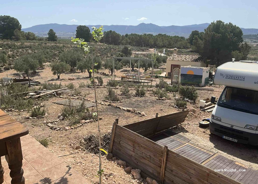 (03469) Campo de Mirra - — foto 4