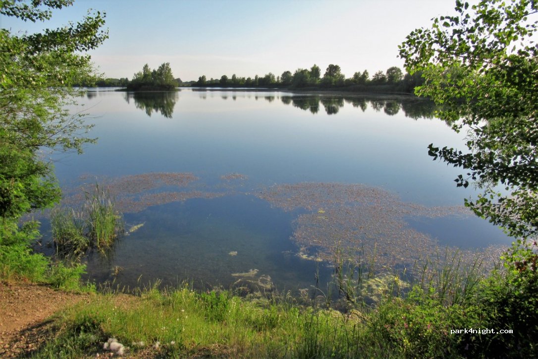 () Vračev Gaj - Unnamed Road — foto 2