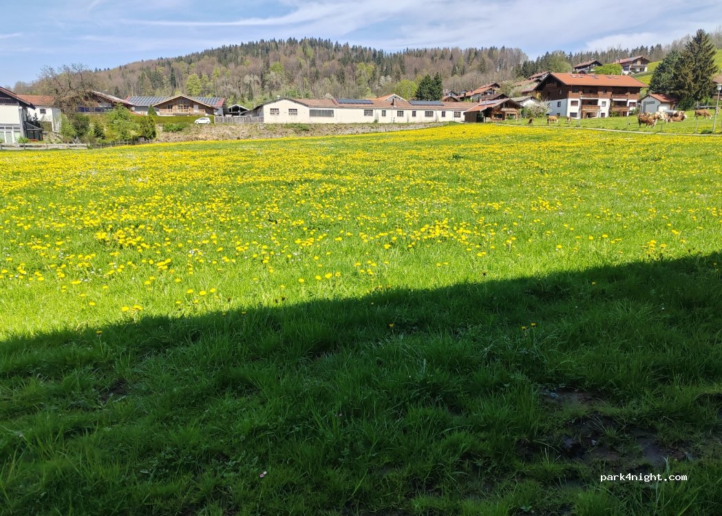 (83734) Hausham - Althausham — foto