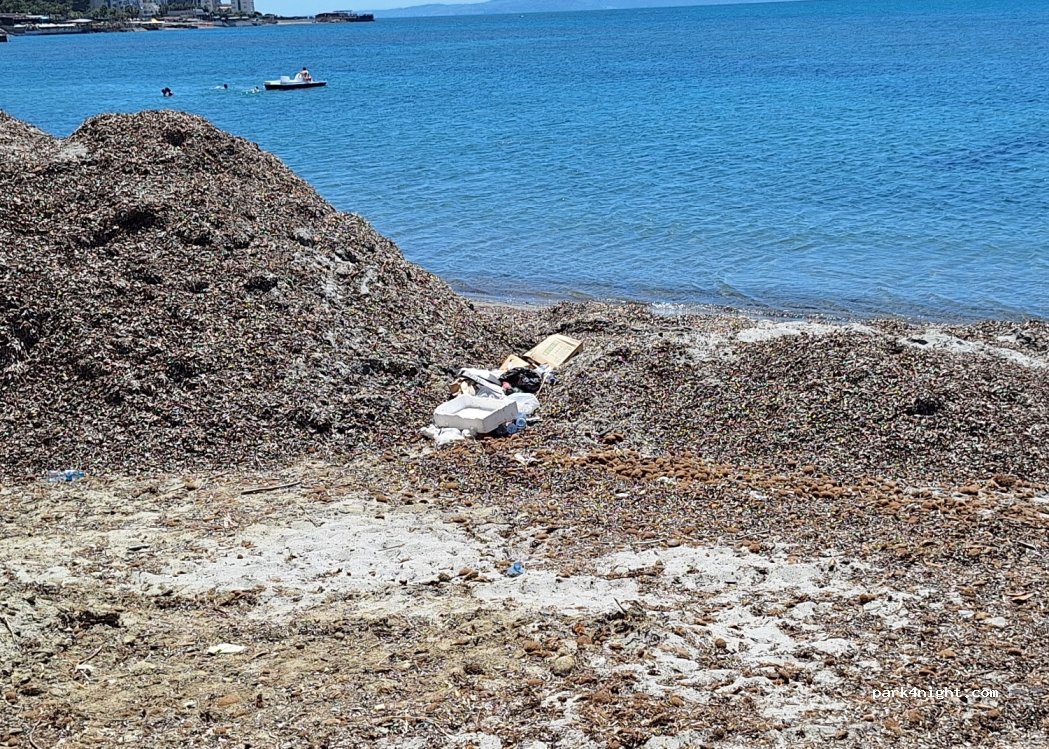 () Durrës - Rruga Currila — foto 4