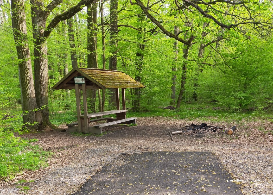 (21-100) Majdan Kozłowiecki - Unnamed Road — foto 2