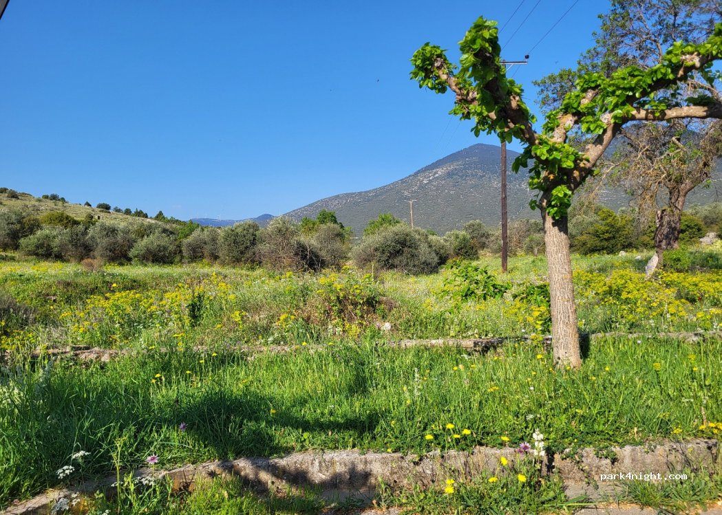 (331 00) Amfissa - Unnamed Road — foto 3