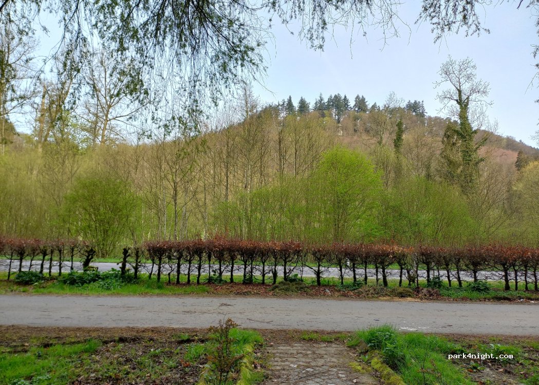 (6551) Berdorf - 121 — foto 3