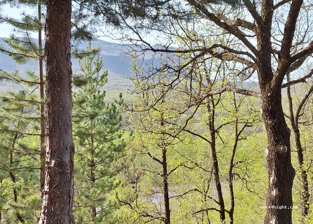 (04200) Valernes - Hongrie — foto 2