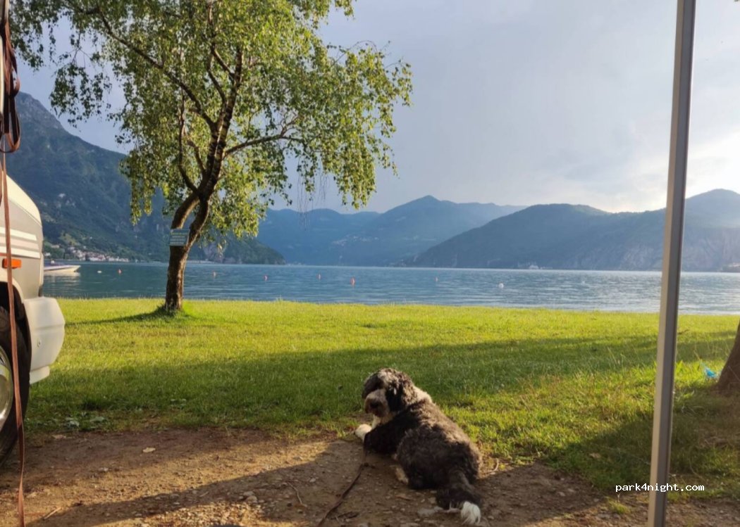 Camping Eden — foto 4
